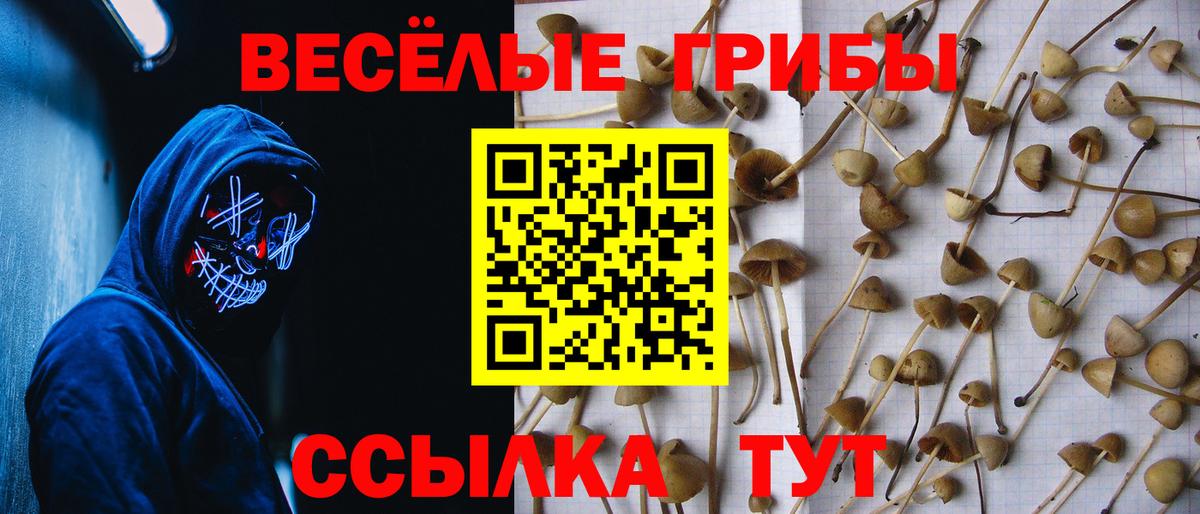 Галлюциногенные грибы мицелий Ханты-Мансийск